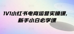 1V1小红书电商运营实操课,新手小白必学课-阳知网创资源库