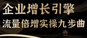 企业增长引擎流量倍增实操九步曲,一套课程帮你找到快速、简单、有效、可复制的获客+变现方式,-阳知网创资源库