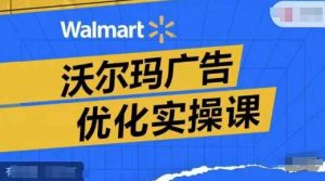 沃尔玛广告优化实操课,广告报告实操讲解,广告如何提高转化和ROAS等-阳知网创资源库