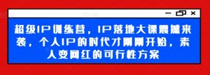 超级IP训练营,IP落地大课震撼来袭,个人IP的时代才刚刚开始,素人变网红的可行性方案-阳知网创资源库