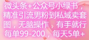 微头条+公众号小绿书,精准引流男粉到私域卖套图,无脑操作,有手就行,每单99-200,每天5单-阳知网创资源库