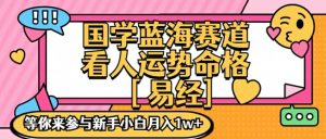 国学蓝海赋能赛道,零基础学习,手把手教学独一份新手小白月入1W+【揭秘】-阳知网创资源库