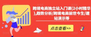 跨境电商独立站入门课(2小时精华),趋势分析/跨境电商前世今生/建站演示等-阳知网创资源库