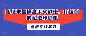 私域发售操盘手实战班,打造你的私域印钞机-阳知网创资源库