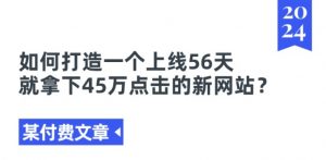 某付费文章《如何打造一个上线56天就拿下45万点击的新网站?》-阳知网创资源库