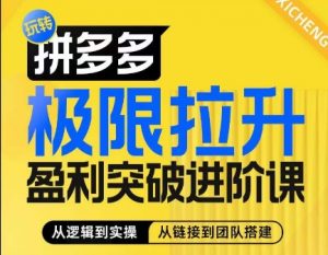 拼多多极限拉升盈利突破进阶课,从算法到玩法,从玩法到团队搭建,体系化系统性帮助商家实现利润提升-阳知网创资源库