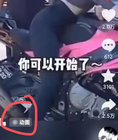 2024年7月苹果手机动图搬运技术-阳知网创资源库