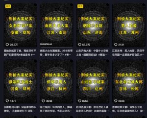大案纪实解说课，2024年最新抖音大案教学教程-阳知网创资源库