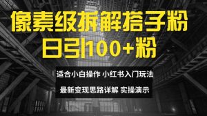 像素级拆解搭子粉，日引100+，小白看完可上手，最新变现思路详解【揭秘】-阳知网创资源库