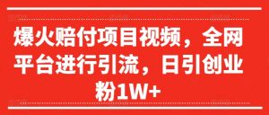 爆火赔付项目视频,全网平台进行引流,日引创业粉1W+【揭秘】-阳知网创资源库