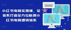 小红书电商实操课,全体系打造全方位梳理小红书电商逻辑体系-阳知网创资源库