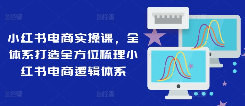 小红书电商实操课,全体系打造全方位梳理小红书电商逻辑体系-阳知网创资源库
