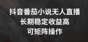 抖音番茄小说无人直播，长期稳定收益高，可矩阵操作【揭秘】-阳知网创资源库