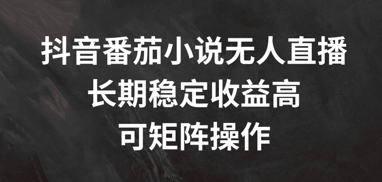 抖音番茄小说无人直播,长期稳定收益高,可矩阵操作【揭秘】-阳知网创资源库