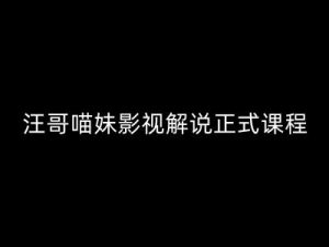 汪哥影视解说正式课程:剪映/PR教学/视解说剪辑5大黄金法则/全流程剪辑7把利器等等-阳知网创资源库