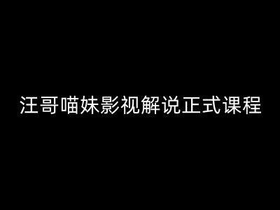汪哥影视解说正式课程:剪映/PR教学/视解说剪辑5大黄金法则/全流程剪辑7把利器等等-阳知网创资源库