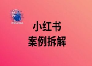 小红书案例拆解，深度解读小红书40万粉-阳知网创资源库