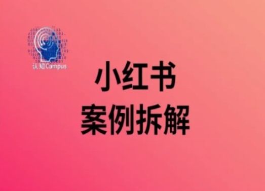 小红书案例拆解，深度解读小红书40万粉-阳知网创资源库