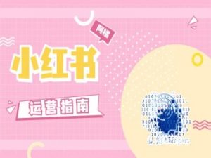 小红书运营指南,没有套路,全是经验-阳知网创资源库