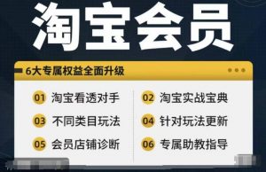 淘宝会员【淘宝所有课程,全面分析对手】,初级到高手全系实战宝典-阳知网创资源库