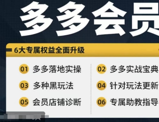 拼多多会员,拼多多实战宝典+实战落地实操,从新手到高阶内容全面覆盖-阳知网创资源库