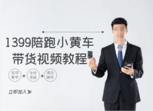 1399陪跑tiktok小黄车带货视频教程,tiktok跨境电商教程-阳知网创资源库