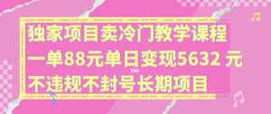 独家项目卖冷门教学课程一单88元单日变现5632元违规不封号长期项目【揭秘】-阳知网创资源库