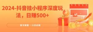 2024全网首次披露，抖音挂小程序深度玩法，日赚500+，简单、稳定，带渠道收入，小白必做【揭秘】-阳知网创资源库