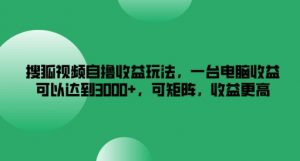 搜狐视频自撸收益玩法,一台电脑收益可以达到3k+,可矩阵,收益更高【揭秘】-阳知网创资源库