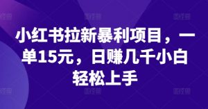 小红书拉新暴利项目,一单15元,日赚几千小白轻松上手【揭秘】-阳知网创资源库