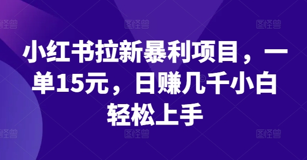 小红书拉新暴利项目,一单15元,日赚几千小白轻松上手【揭秘】-阳知网创资源库