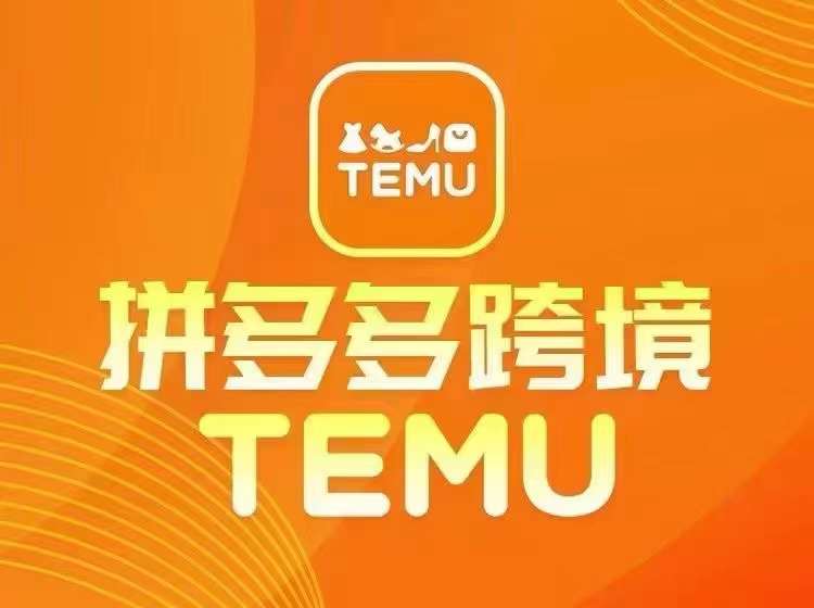 最新TEMU拼多多跨境教程,开店、运营、选品-阳知网创资源库