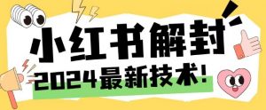 2024最新小红书账号封禁解封方法,无限释放手机号【揭秘】-阳知网创资源库