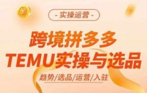 跨境拼多多TEMU实操与选品,多多temu跨境选品运营实操-阳知网创资源库