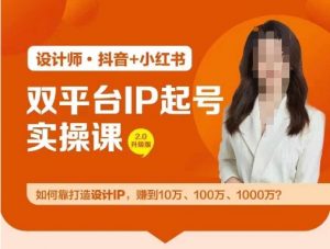 双平台IP起号实操营,教你如何靠打造设计IP,赚到10万、100万、1000万?-阳知网创资源库