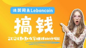 法国闲鱼Leboncoin跨境电商教程：环境邮箱电话解决产品上传及流量，悄悄赚钱【揭秘】-阳知网创资源库