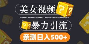 搬运tk美女视频全网分发,日引s粉300+,轻松变现,不限流量不封号【揭秘】-阳知网创资源库