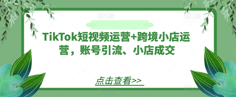 TikTok短视频运营+跨境小店运营,账号引流、小店成交-阳知网创资源库