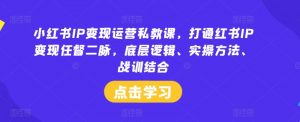 小红书IP变现运营私教课,打通红书IP变现任督二脉,底层逻辑、实操方法、战训结合-阳知网创资源库