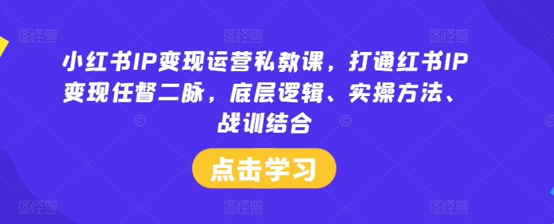 小红书IP变现运营私教课,打通红书IP变现任督二脉,底层逻辑、实操方法、战训结合-阳知网创资源库