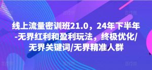 线上流量密训班21.0,24年下半年-无界红利和盈利玩法,终极优化/无界关键词/无界精准人群-阳知网创资源库