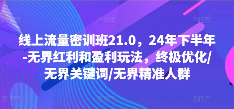 线上流量密训班21.0,24年下半年-无界红利和盈利玩法,终极优化/无界关键词/无界精准人群-阳知网创资源库