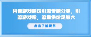 抖音游戏陪玩引流专题分享，引流游戏粉，流量供给足够大-阳知网创资源库