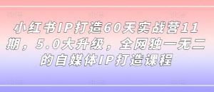 小红书IP打造60天实战营11期,5.0大升级,全网独一无二的自媒体IP打造课程-阳知网创资源库