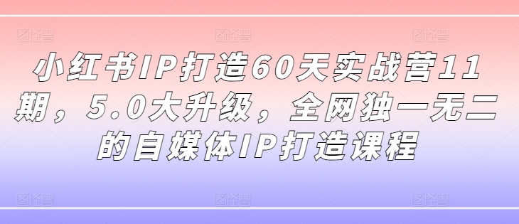 小红书IP打造60天实战营11期,5.0大升级,全网独一无二的自媒体IP打造课程-阳知网创资源库