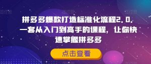 拼多多爆款打造标准化流程2.0，一套从入门到高手的课程，让你快速掌握拼多多-阳知网创资源库