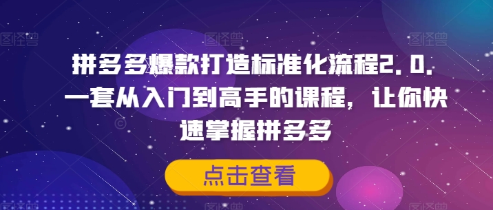 拼多多爆款打造标准化流程2.0，一套从入门到高手的课程，让你快速掌握拼多多-阳知网创资源库