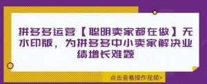 拼多多运营【聪明卖家都在做】无水印版,为拼多多中小卖家解决业绩增长难题-阳知网创资源库
