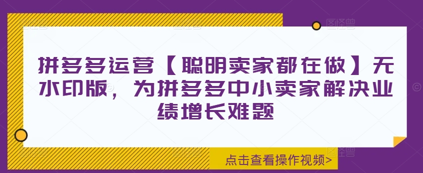 拼多多运营【聪明卖家都在做】无水印版,为拼多多中小卖家解决业绩增长难题-阳知网创资源库