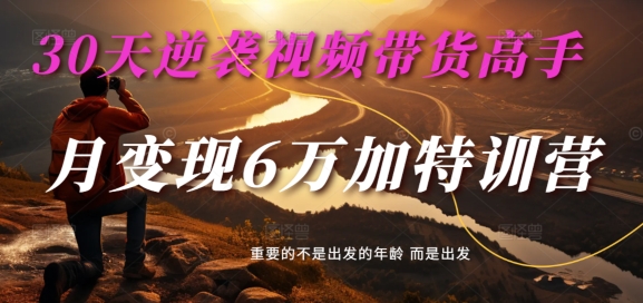 30天逆袭视频带货高手,单月变现6万加特训营-麦子甜-阳知网创资源库